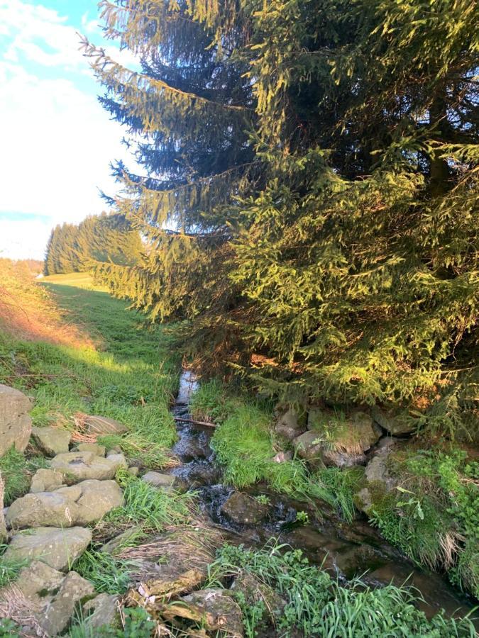 Hillside Nature Bischofsgruen Bagian luar foto